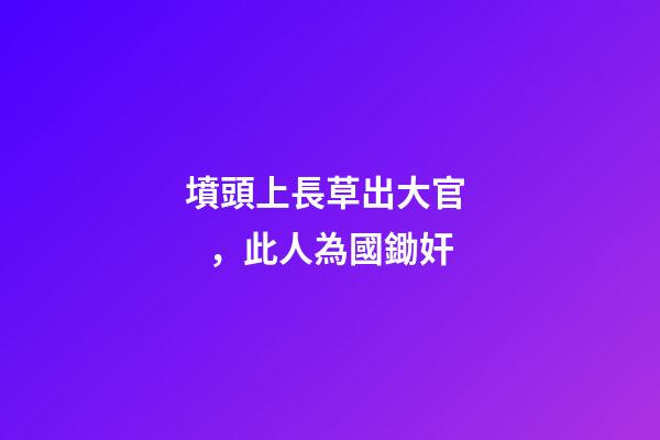 墳頭上長草出大官，此人為國鋤奸